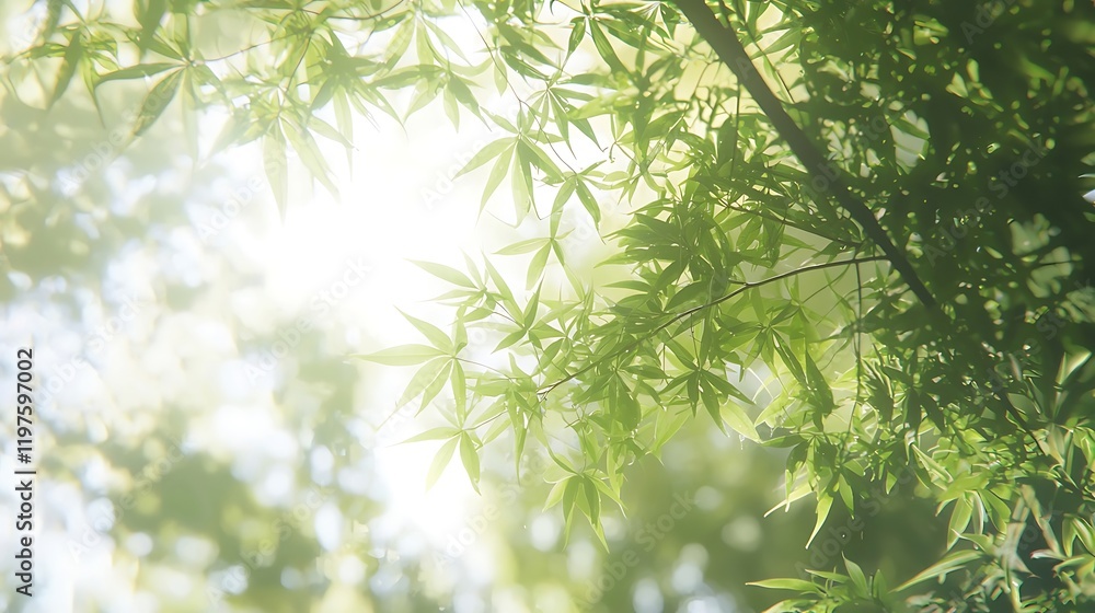 Sunlit Green Leaves: A Serene Nature Photograph Sunlit Green Leaves: A Serene Nature Photograph