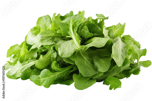 Isolated Fresh Arugula photo