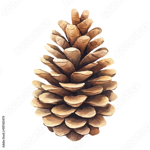 A watercolor of a pinecone tree, isolated on a white background. Pinecone tree vector.
