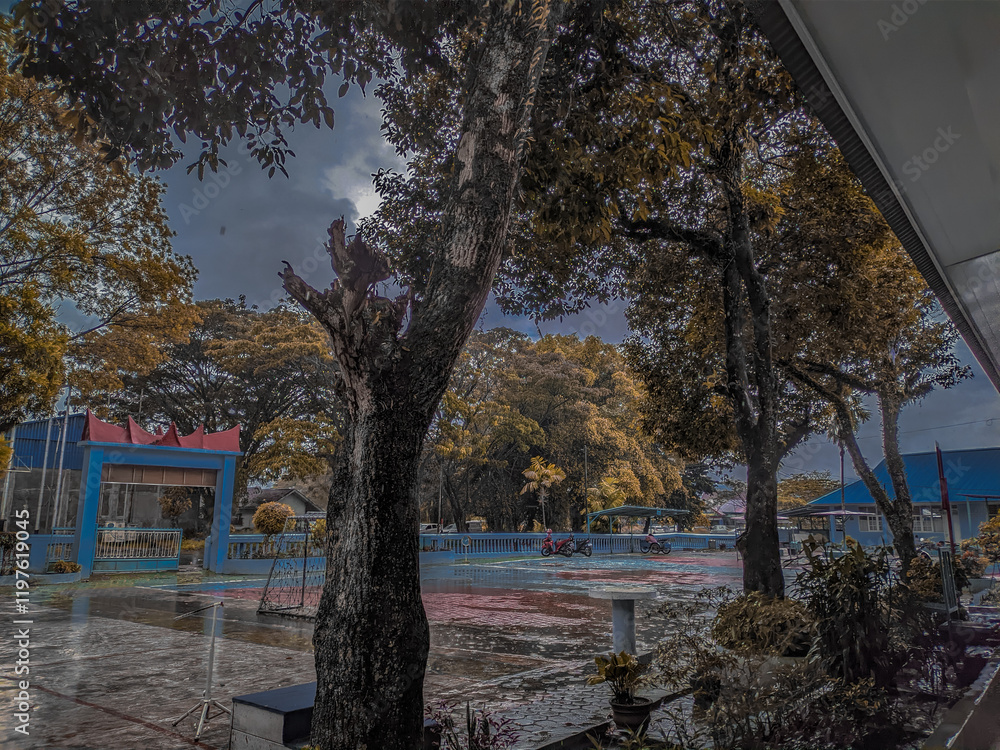 Fototapeta premium autumn in the park
