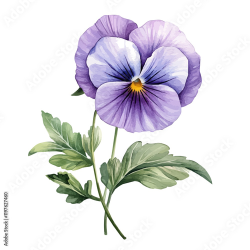 A watercolor clipart of a pansy flower, isolated on a white background. Pansy flower vector.
