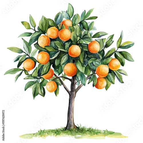 A watercolor painting of an orange tree, isolated on a white background. Orange tree vector.
