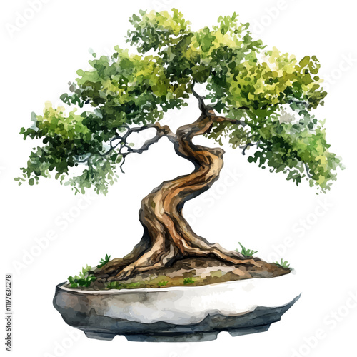 A watercolor illustration of an oak bonsai, isolated on a white background. Bonsai vector.
