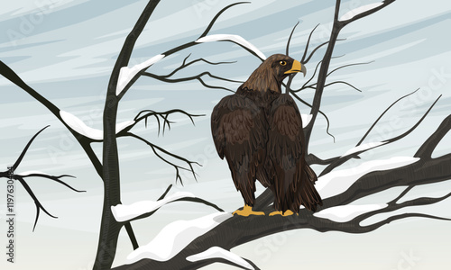 Golden eagle sits on a snowy tree branch. Realistic vector winter landscape