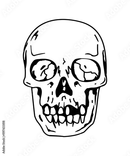 human skull illustration vector design, skull doodle drawing, 