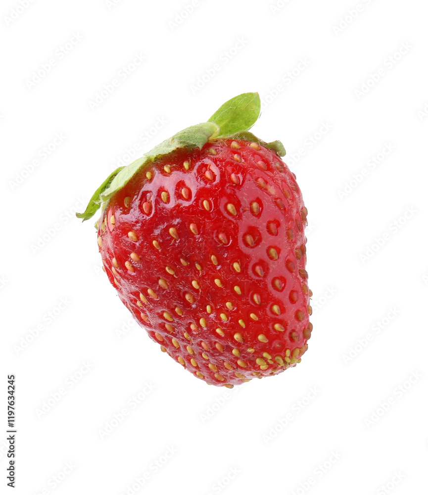One whole ripe strawberry isolated on white One whole ripe strawberry isolated on white