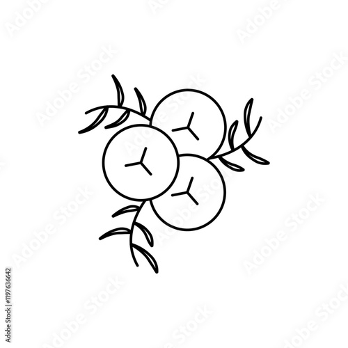 Juniper icon in liner stroke style