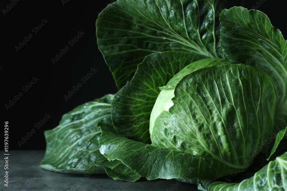 Obraz premium Whole ripe head of cabbage on table against dark background, closeup