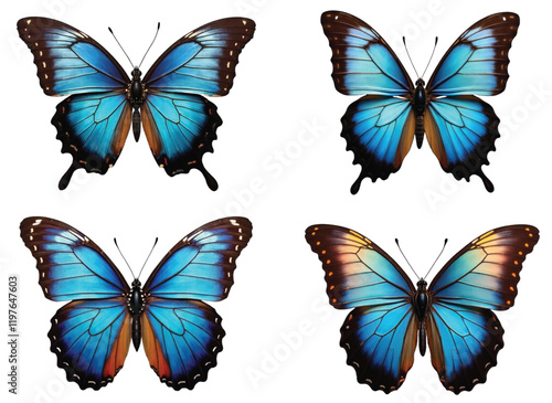 Elegant Real Butterfly Collection: Vibrant PNG Illustrations for Nature & Design Projects