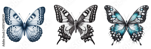 Elegant Real Butterfly Collection: Vibrant PNG Illustrations for Nature & Design Projects