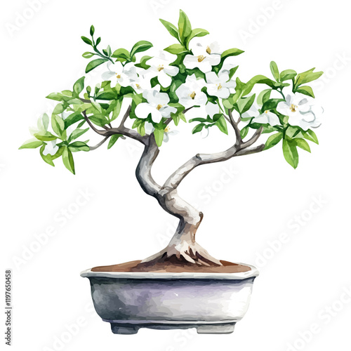 A watercolor vector of a jasmine bonsai, isolated on a white background. Bonsai vector.
