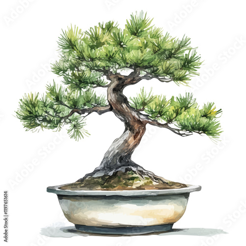 A watercolor clipart of a Japanese larch bonsai, isolated on a white background. Bonsai vector.
