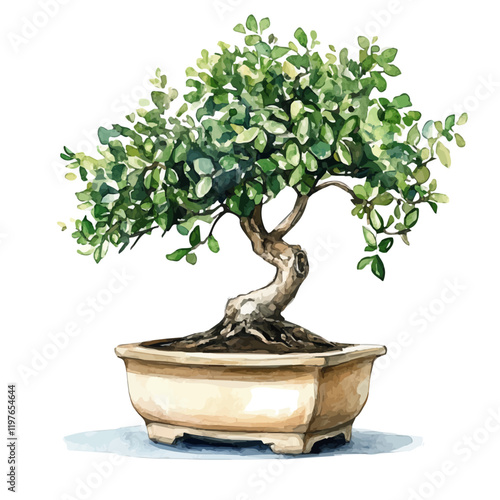 A watercolor painting of an Indian sandalwood bonsai, isolated on a white background. Indian sandalwood bonsai vector.
