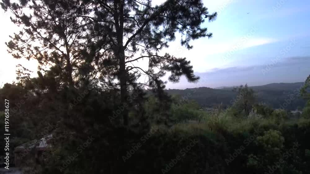paisagens áreas de natureza paisagens áreas de natureza
