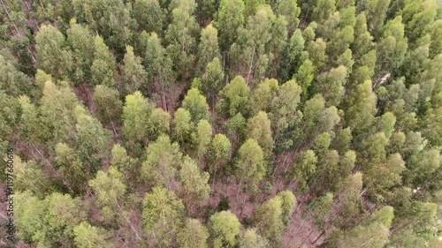 paisagens áreas de natureza