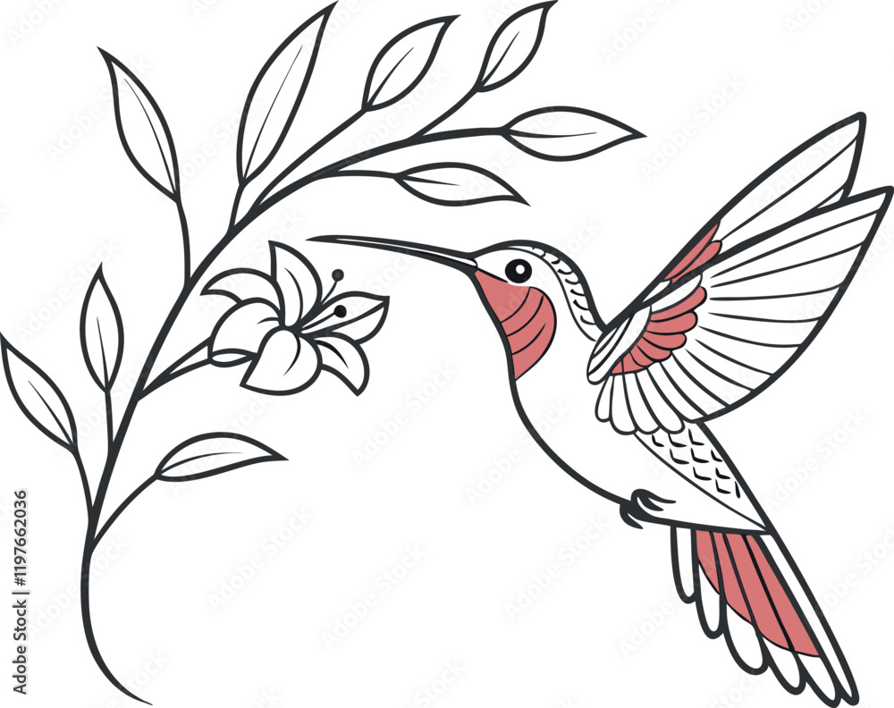 Obraz premium hummingbird and flower vector 