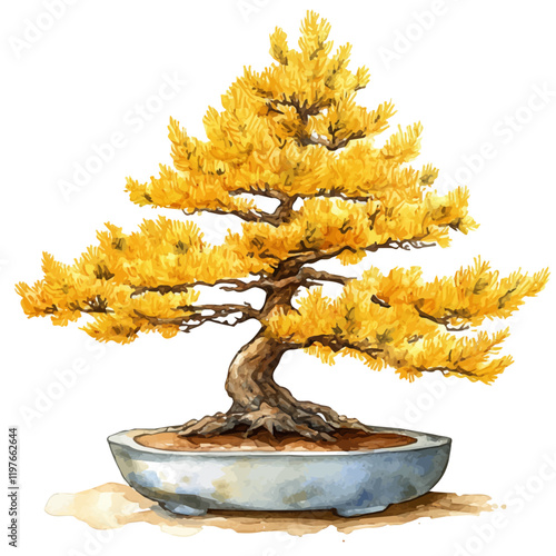 A watercolor drawing of a golden larch bonsai, isolated on a white background. Golden larch bonsai vector.
