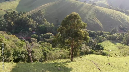 Monte verde