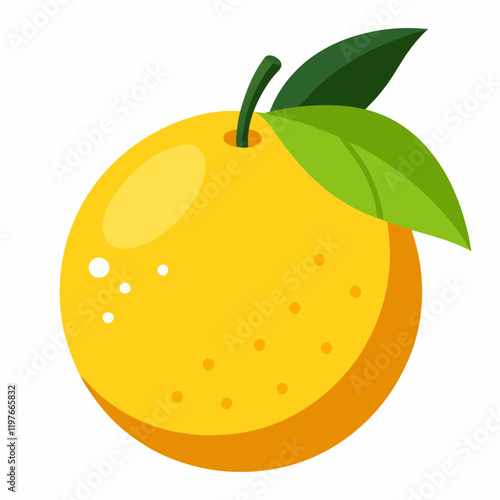 vector illustration of a yuzu