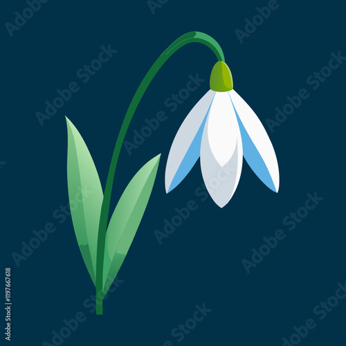 snowdrop flower