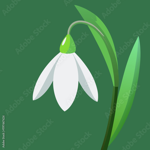 snowdrop flower on green background