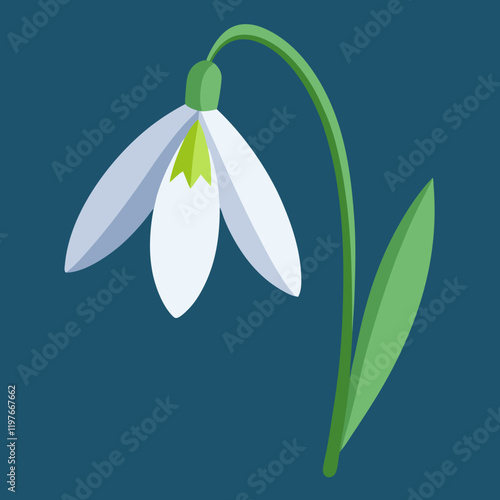 snowdrop flower