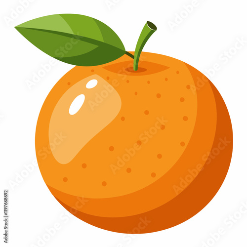 illustration of tangerine