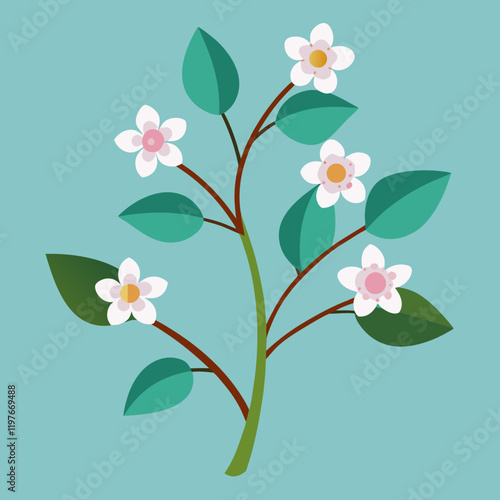 waxflower