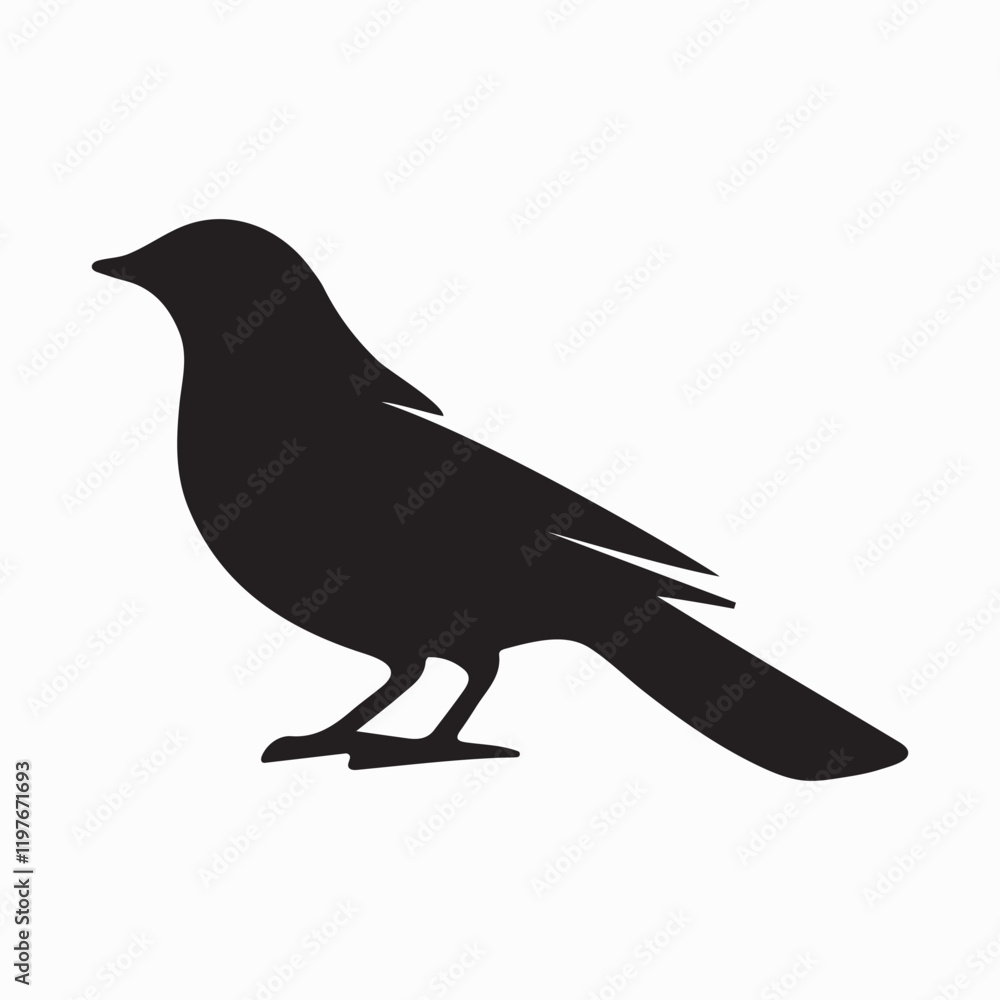Fototapeta premium Bird Silhouette with Extended Wing Feathers