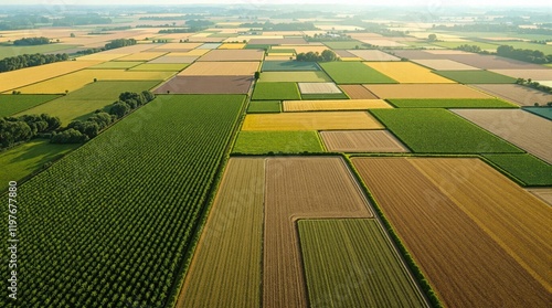 Aerial View of Colorful Agricultural Fields During Summer