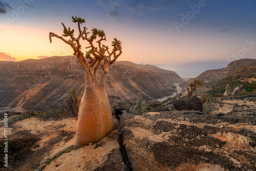 Sunrise over the rocky Kalysan Valley on Socotra Island, Yemen