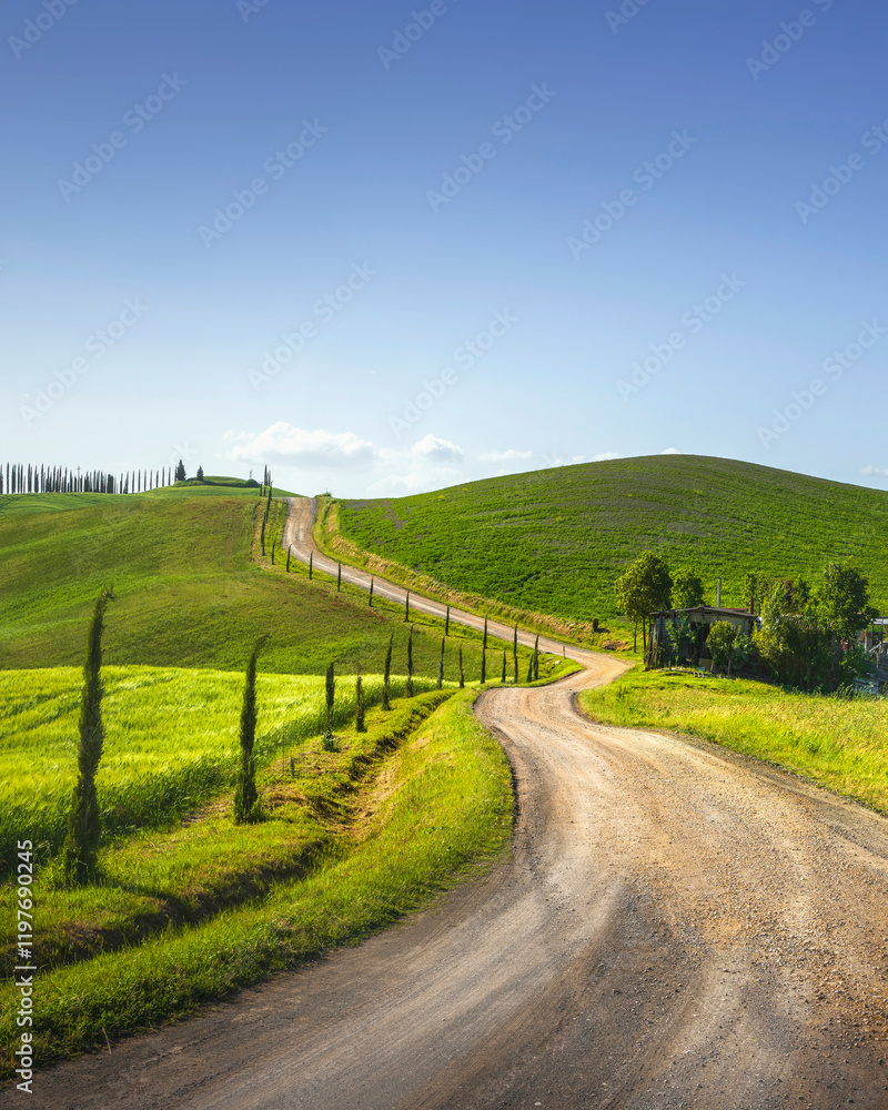 Obraz premium Monteroni d'Arbia, route of the via Francigena. Winding road. Siena, Tuscany. Italy