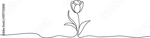 Tulip one line drawing.Abstract flower continuous line. Minimalist contour drawing of tulip. Continuous line drawing of flower tulip.Hand drawn sketch of flower with leaves.