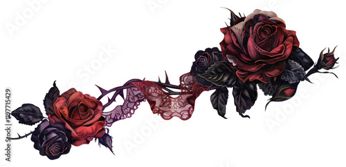 Fototapeta Naklejka Na Ścianę i Meble -  PNG Gothic wedding rose vine roses illustration gothic.