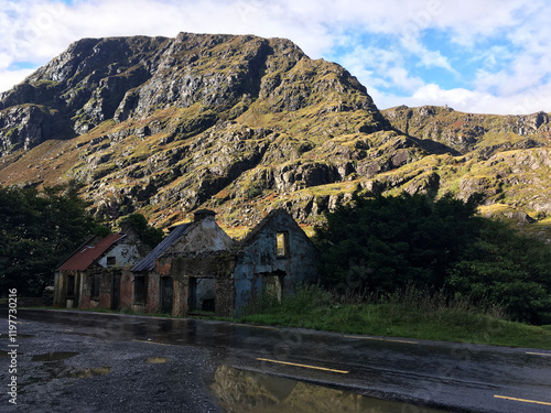 Ruins of an Irish Farm House