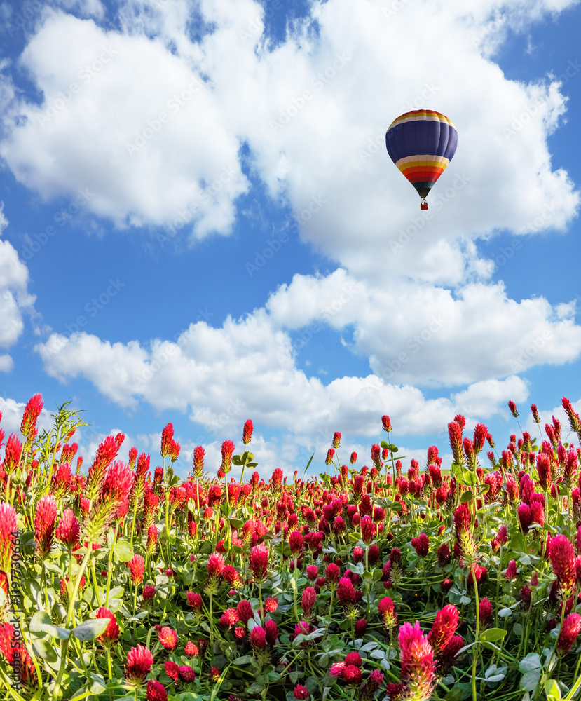 Fototapeta premium Balloon flies over rural field