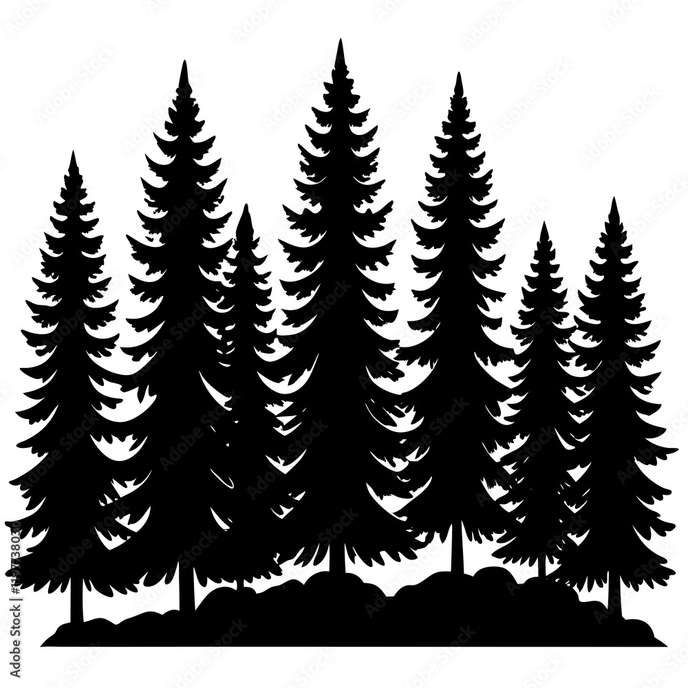 Obraz premium pine tree forest silhouette,