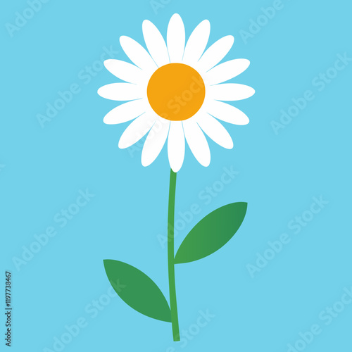 daisy flower vector illustration