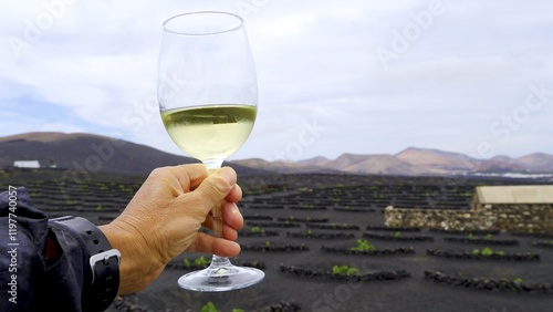 Winemaker holding glass of white wine in la geria vineyard, lanzarote