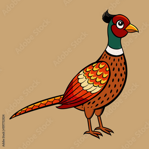 pheasant isolated on a background