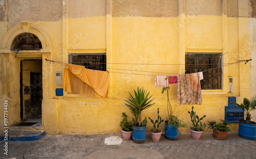 Gold wall with blue plant pots and laundry, El Jadida, Morocco,