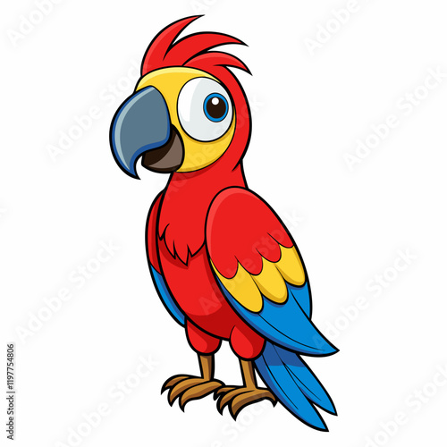 parrot on white background