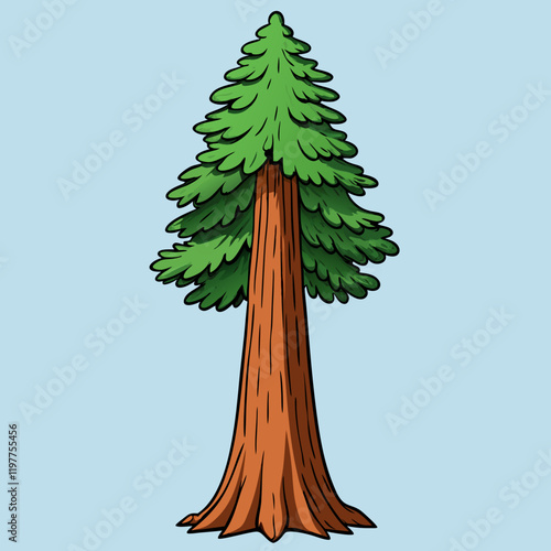 illustration of a sequoia tree