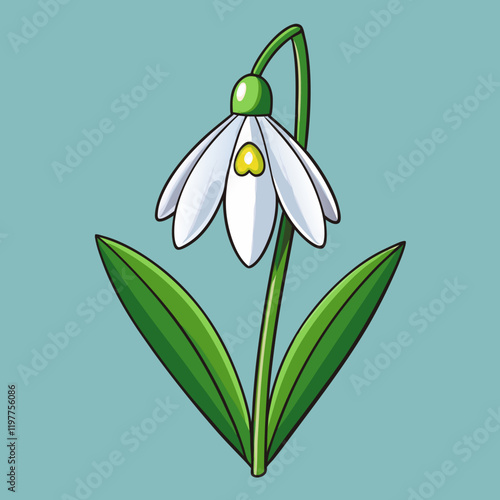 snowdrop flower on a background