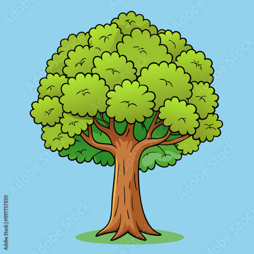 sycamore tree vector illustration