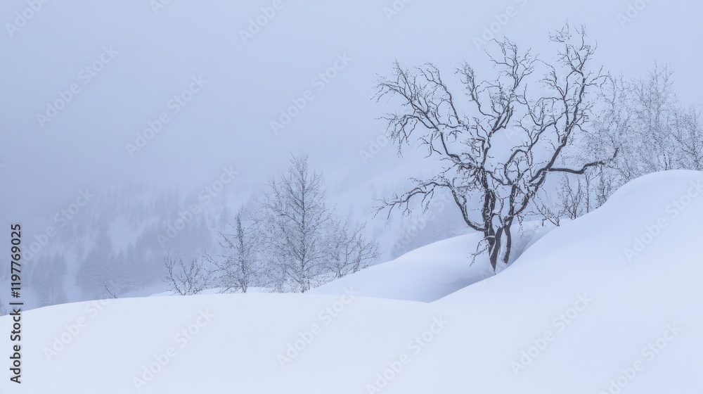 A Serene Winter Landscape: Frozen Trees and Snow-Covered Hills A Serene Winter Landscape: Frozen Trees and Snow-Covered Hills