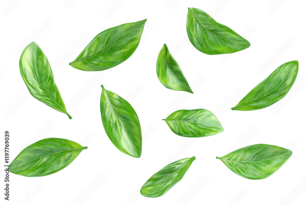 PNG Falling green ten leaves leaf herbs fresh. PNG Falling green ten leaves leaf herbs fresh.