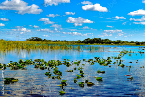An Airboat tour view of the Everglades National Park Florida with scattered grass, sawgrass in midground, and lily pads on forground, and trees in background