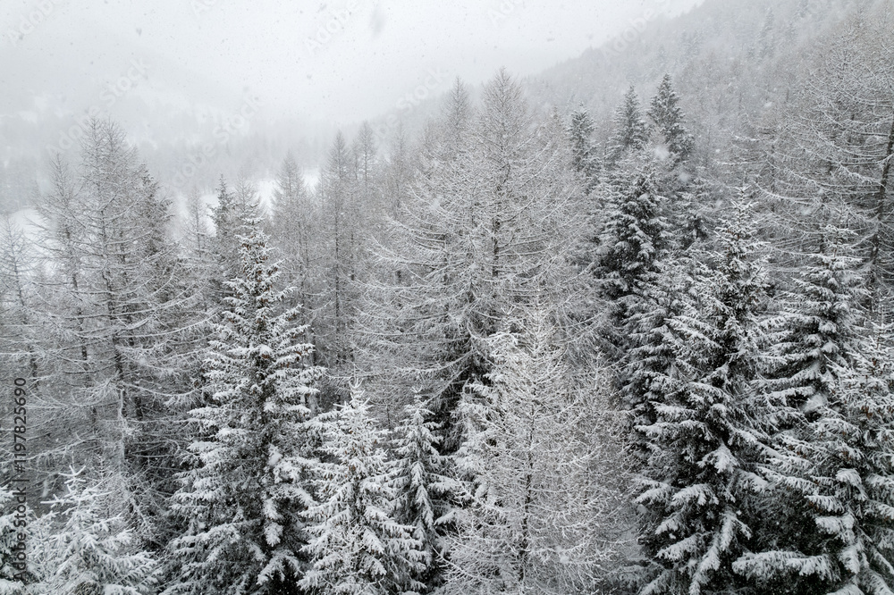 Obraz premium Winter season