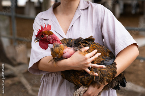 Fotografie Gallina sobre unos brazos
